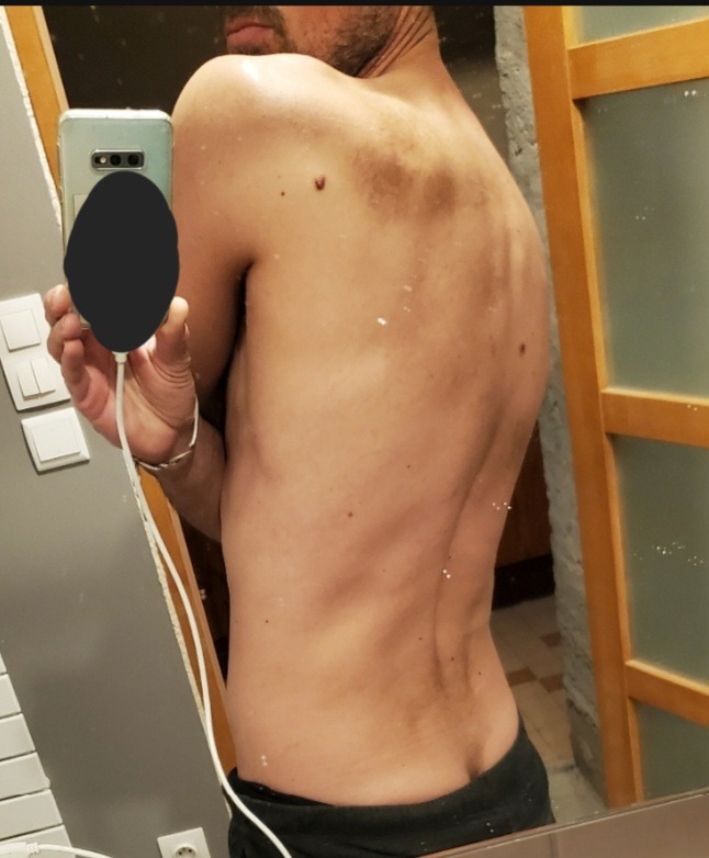 Profil von Sadi
