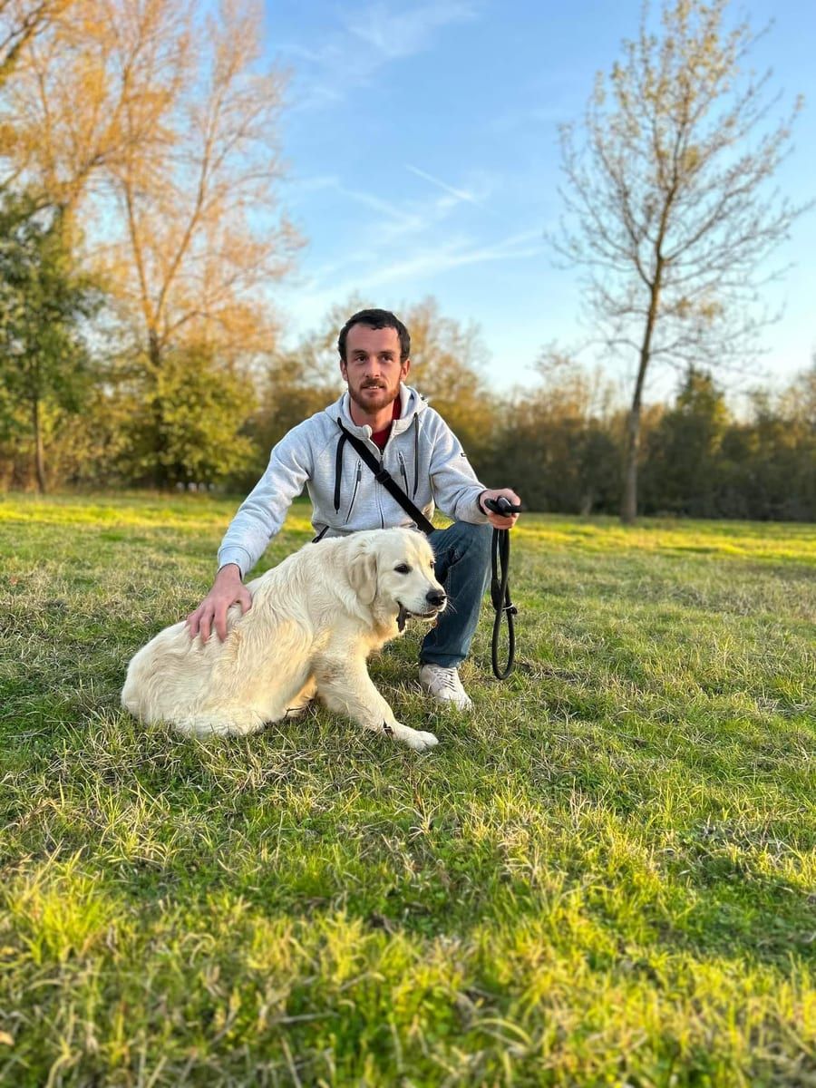 Profil von Pharel