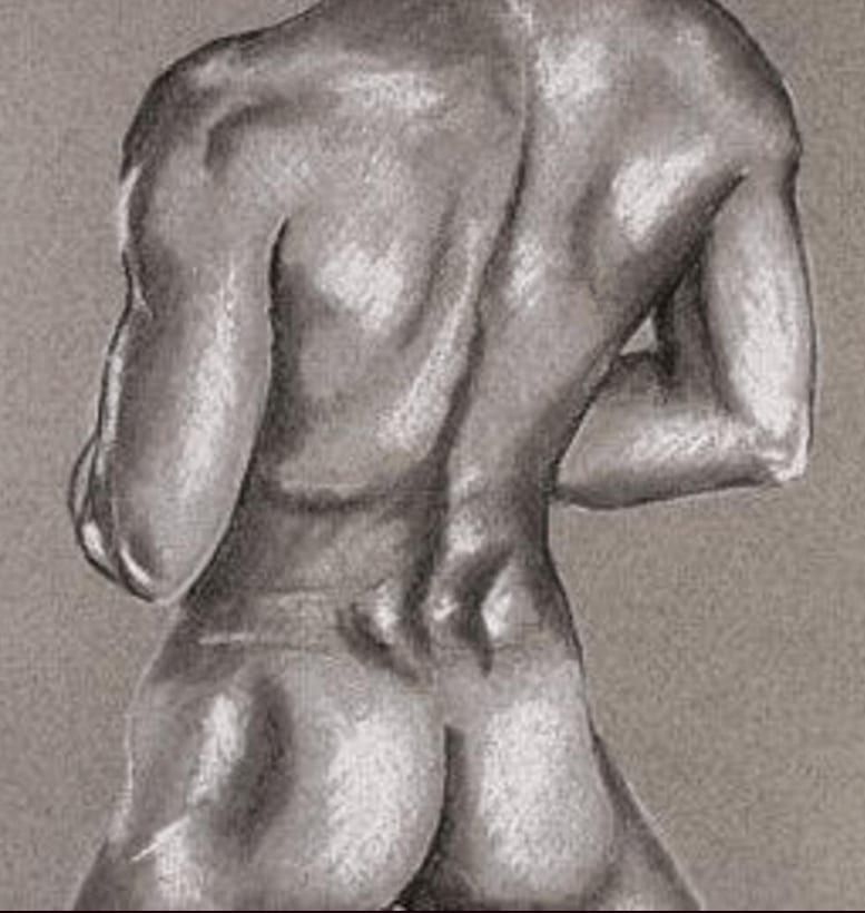 Profil von Pharel